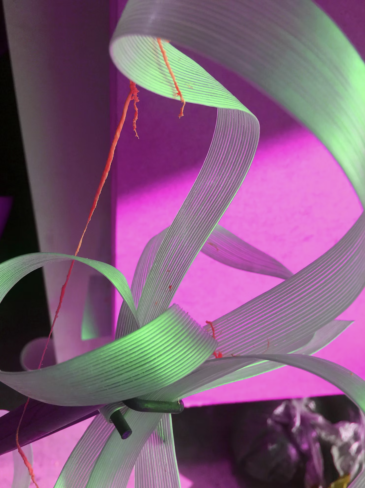 Graphics